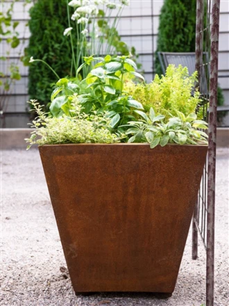 Pourquoi l'acier Corten est parfait pour un pot de fleur rond ?